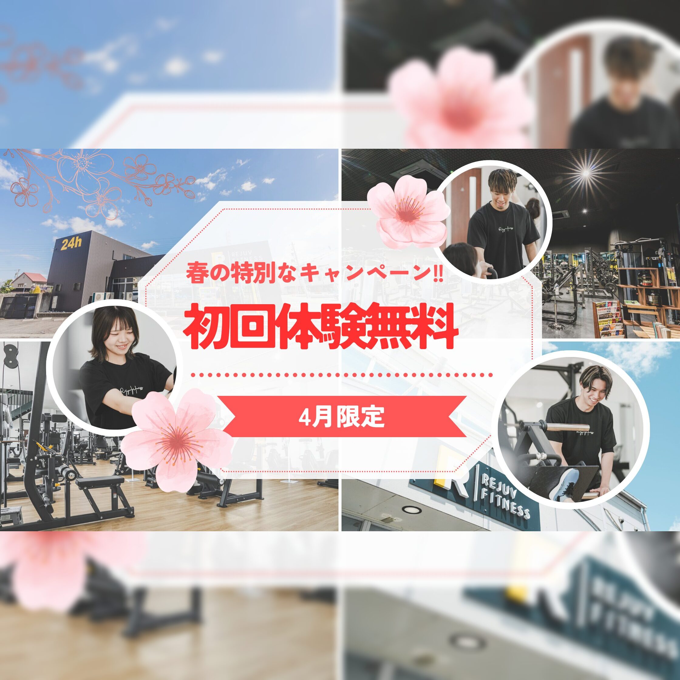 【4月限定】リジュブフィットネス春のキャンペーン!パーソナルトレーニング初回体験無料実施中