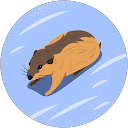 AAA profile picture